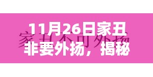 11月26日家庭矛盾揭秘，家丑外扬背后的真相与社会影响观察