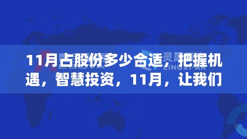 掌握股份魔法数字，11月投资股份比例选择与智慧投资策略