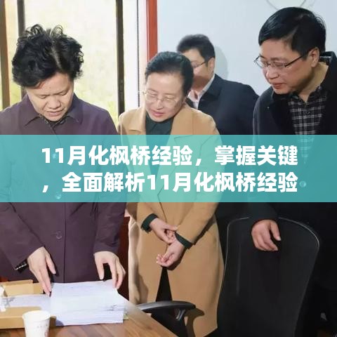 全面解析，掌握关键步骤的化枫桥经验指南（11月版）