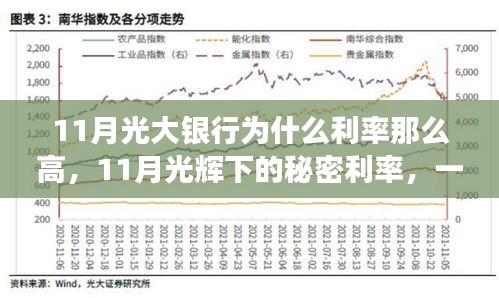 揭秘11月光大银行高利率背后的故事，友情与家庭的温馨之旅