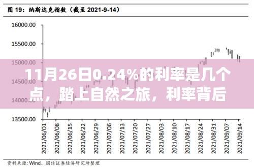 11月26日0.24%的利率是几个点，踏上自然之旅，利率背后的风景与心灵之旅