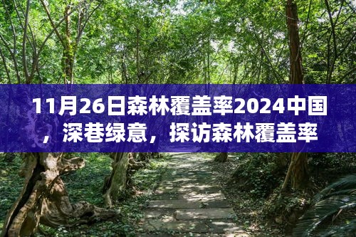 探访森林覆盖率下的独特中国小店，深巷绿意与未来的绿色中国展望（附日期）