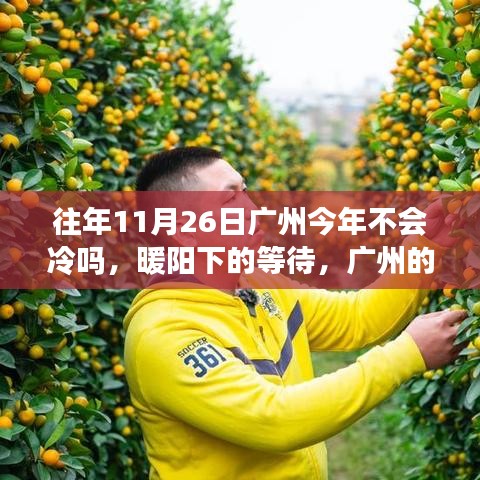 广州十一月暖阳下的温情纪事，期待暖冬不再冷却