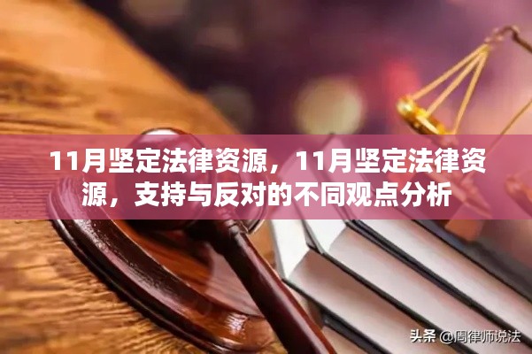 坚定法律资源，支持与反对的不同观点深度分析