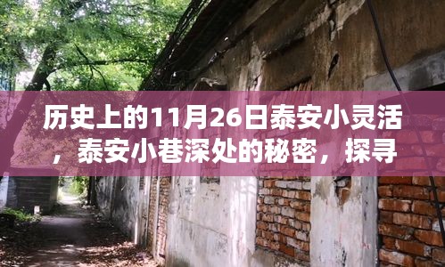 探寻泰安小巷深处的秘密，历史上的小灵活传奇之11月26日探秘之旅