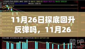 11月26日探底回升反弹吗，11月26日探底回升，变化带来自信与成就感的奇妙旅程