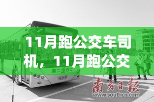 职业价值与社会视角下的公交车司机探讨，聚焦11月的工作体验与观察