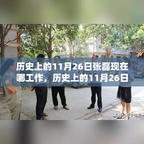 探寻张磊的职业轨迹，历史上的11月26日他在哪里工作？