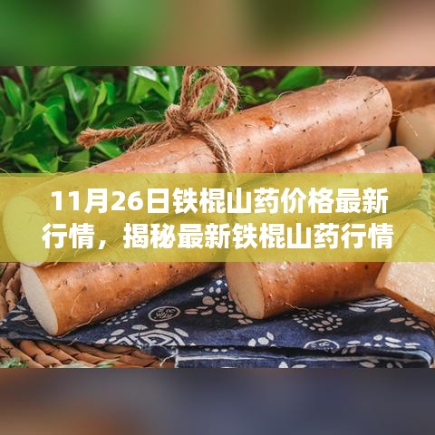 揭秘最新铁棍山药行情，11月26日价格走势分析与预测