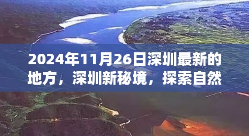 深圳新秘境，探索自然美景，寻找内心宁静胜地（2024年11月26日最新地点）