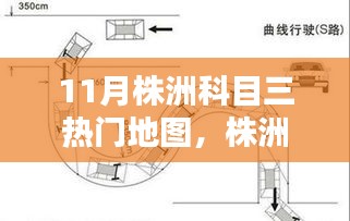 株洲科目三考试攻略，11月热门地图科目三考试步骤详解及考试攻略