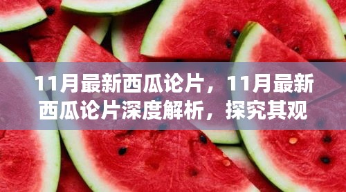 11月最新西瓜论片深度解析与个人立场探究