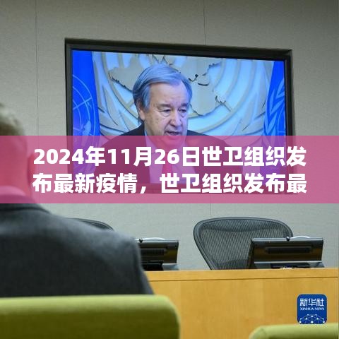 世卫组织发布最新疫情报告，深度解析与未来趋势预测（2024年11月26日）