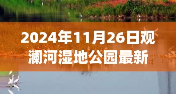 观澜河湿地公园新篇章，励志之旅见证变化、学习与成就的最新篇章（2024年11月26日）