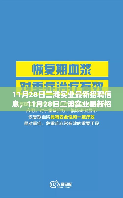 11月28日二滩实业招聘信息及职业发展机遇探索