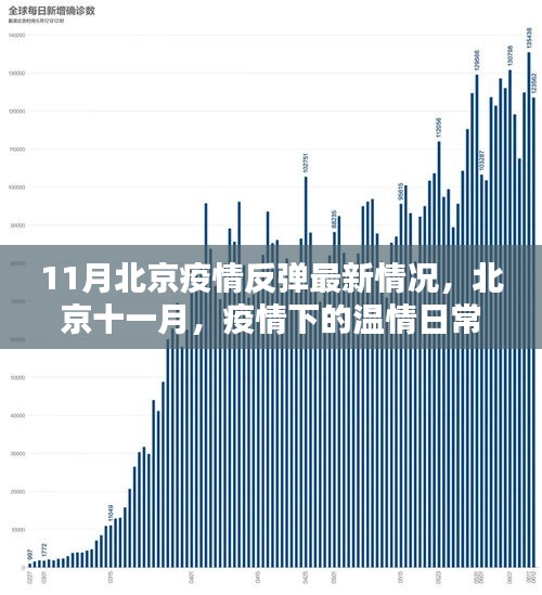 2024年11月28日 第2页