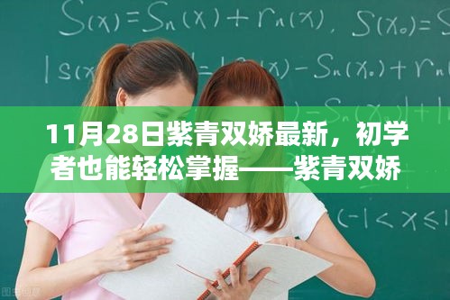 紫青双娇最新任务详解，初学者也能轻松掌握的进阶版指南（11月28日更新）