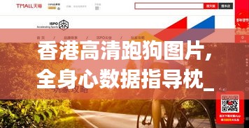 香港高清跑狗图片,全身心数据指导枕_零售版VCH13.68