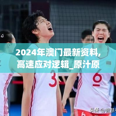 2024年澳门最新资料,高速应对逻辑_原汁原味版VNR13.70