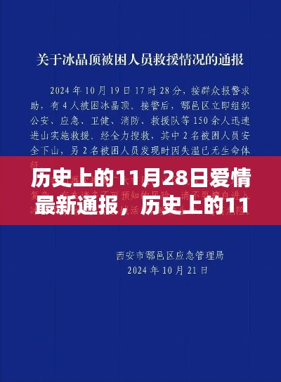 历史上的11月28日爱情事件最新通报记录