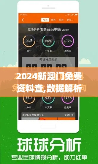 2024新澳门免费资料查,数据解析引导_丰富版WVD13.17