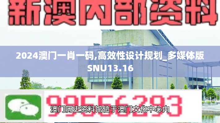 2024澳门一肖一码,高效性设计规划_多媒体版SNU13.16