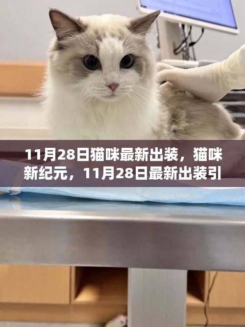 猫咪新纪元，11月28日最新出装引领潮流风潮