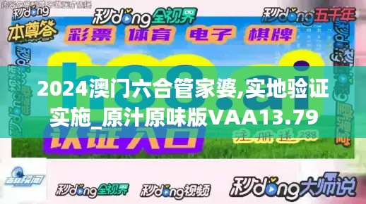 2024澳门六合管家婆,实地验证实施_原汁原味版VAA13.79