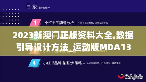 2023新澳门正版资料大全,数据引导设计方法_运动版MDA13.29