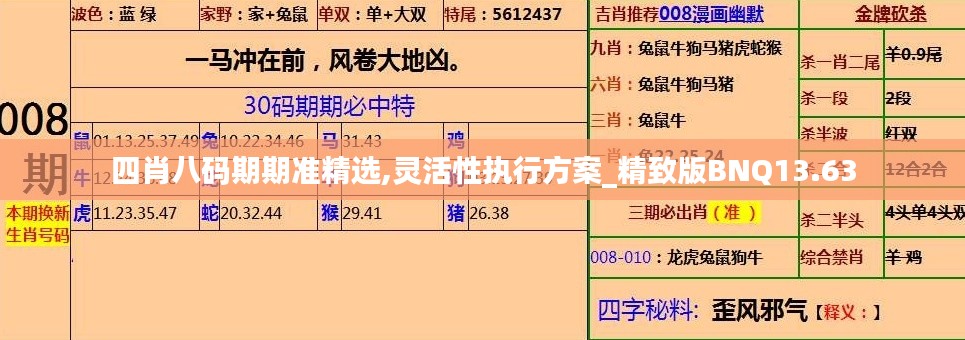 四肖八码期期准精选,灵活性执行方案_精致版BNQ13.63