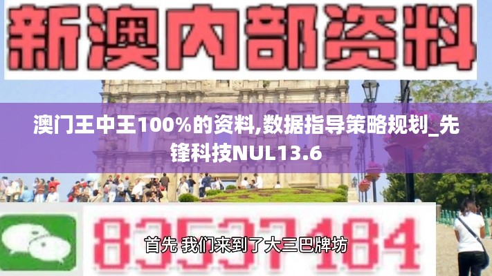 澳门王中王100%的资料,数据指导策略规划_先锋科技NUL13.6