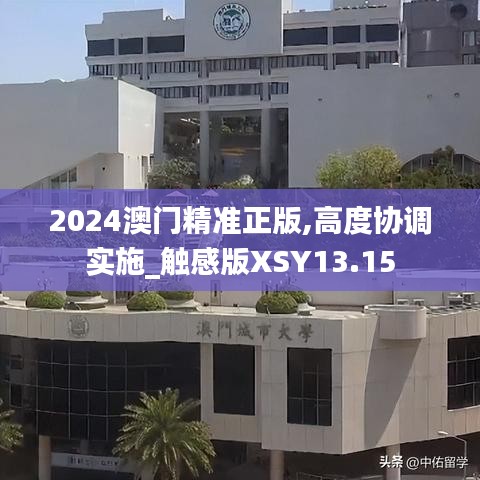 2024澳门精准正版,高度协调实施_触感版XSY13.15