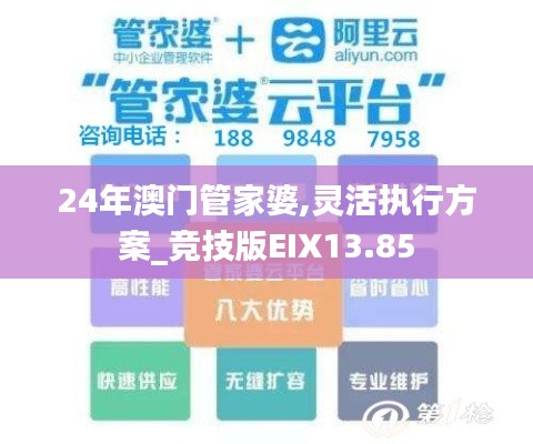 24年澳门管家婆,灵活执行方案_竞技版EIX13.85