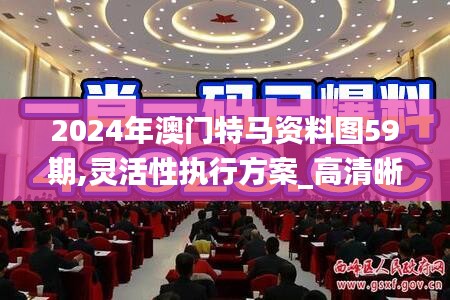 2024年澳门特马资料图59期,灵活性执行方案_高清晰度版PBV13.79