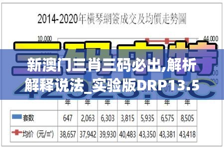 新澳门三肖三码必出,解析解释说法_实验版DRP13.53