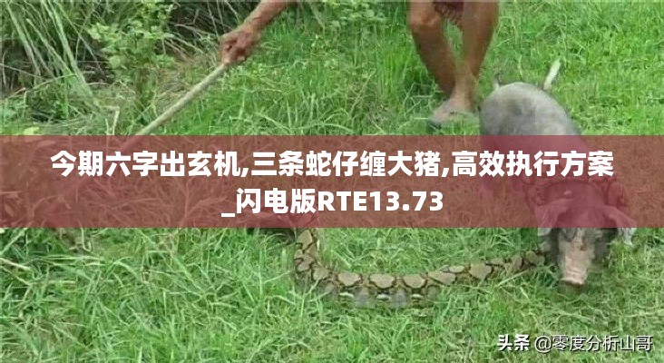 今期六字出玄机,三条蛇仔缠大猪,高效执行方案_闪电版RTE13.73