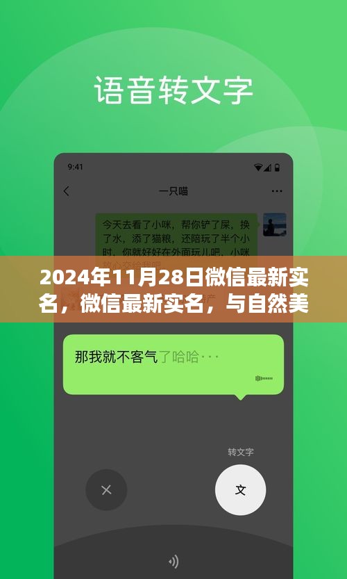 2024年11月28日微信最新实名，微信最新实名，与自然美景的浪漫邂逅，启程寻找内心的宁静绿洲