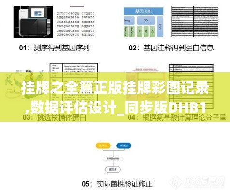 挂牌之全篇正版挂牌彩图记录,数据评估设计_同步版DHB13.22