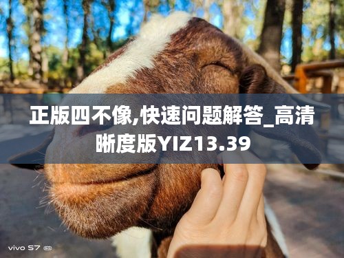 正版四不像,快速问题解答_高清晰度版YIZ13.39