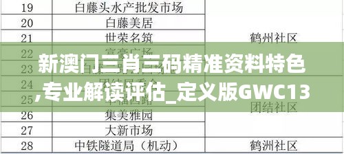 新澳门三肖三码精准资料特色,专业解读评估_定义版GWC13.88