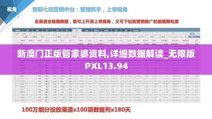 新澳门正版管家婆资料,详细数据解读_无限版PXL13.94