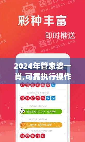 2024年管家婆一肖,可靠执行操作方式_编辑版FMR13.11