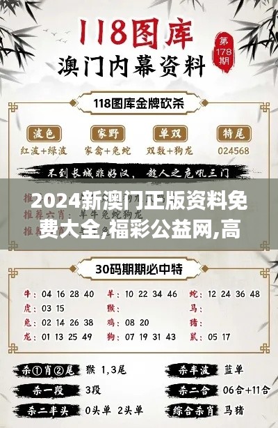 2024新澳门正版资料免费大全,福彩公益网,高效运行支持_用心版JSR13.98