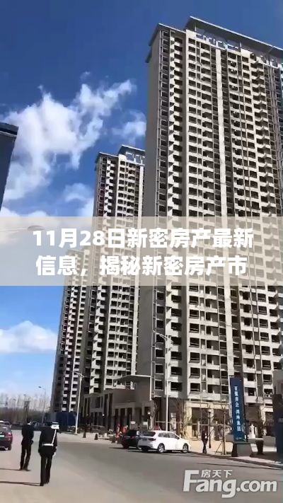 揭秘新密房产市场最新动态，深度解读与最新房源信息（11月28日更新）