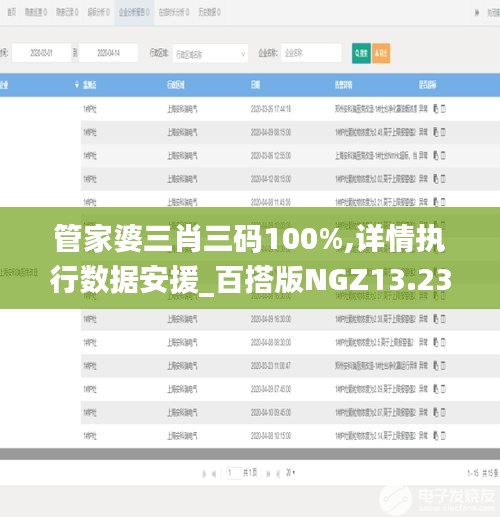 管家婆三肖三码100%,详情执行数据安援_百搭版NGZ13.23