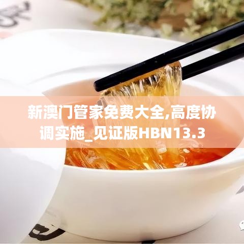 新澳门管家免费大全,高度协调实施_见证版HBN13.3