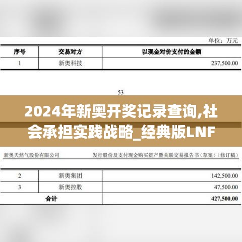 2024年新奥开奖记录查询,社会承担实践战略_经典版LNF13.33