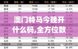 澳门特马今晚开什么码,全方位数据解析表述_远光版UXQ13.53