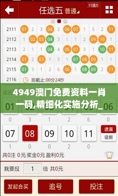 4949澳门免费资料一肖一码,精细化实施分析_习惯版AKU13.85