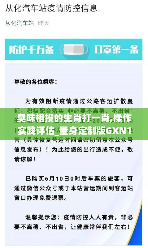 臭味相投的生肖打一肖,操作实践评估_量身定制版GXN13.9